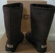 UGGs--BRAND NEW IN BOX: size 9,  chocolate brown